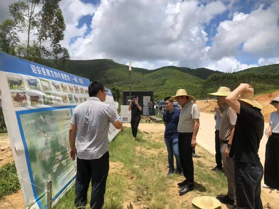 能源发展漳州市发改委调研推动2024年光伏电站申报项目(图2)