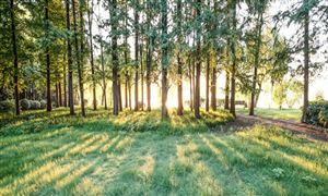 2024年中国光伏发电行业竞争格局及行业发展趋势(图4)