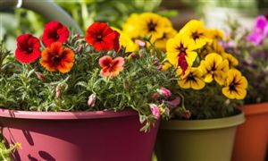 2024年中国光伏发电行业竞争格局及行业发展趋势(图6)