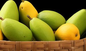 千亿投资!76个重大光伏项目名单来了!(图7)