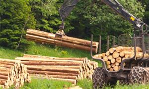 千亿投资!76个重大光伏项目名单来了!(图5)