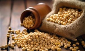 中国单体规模最大水面漂浮式光伏电站全容量并网光伏发电站行业现状2024(图2)