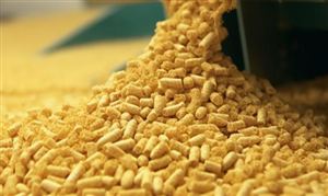 中国单体规模最大水面漂浮式光伏电站全容量并网光伏发电站行业现状2024(图8)