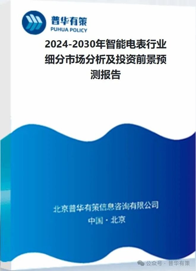 2024-2030年智能电表行业细分市场分析及投资前景预测报告(图6)