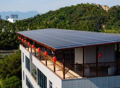 持续探索ESG新模式TCL“光伏+”为产业兴农注入绿色动力(图2)