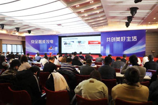 2024智能控电·安全创新主题宣传活动圆满落幕(图1)