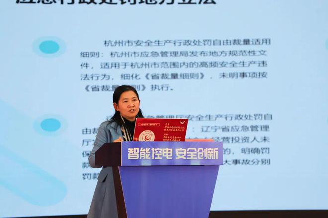 2024智能控电·安全创新主题宣传活动圆满落幕(图2)