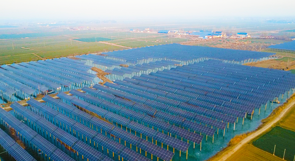 绿能澎湃！广东能源集团多个光伏项目实现并网发电(图2)