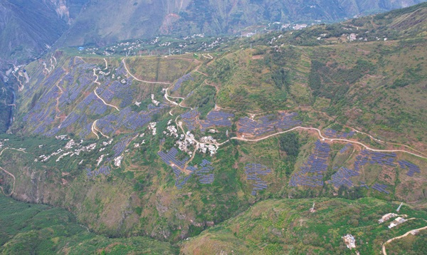 绿能澎湃！广东能源集团多个光伏项目实现并网发电(图1)