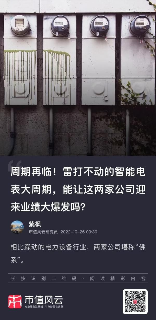 智能电表出海龙头VS国内配用电龙头：谁更引人垂涎？(图1)
