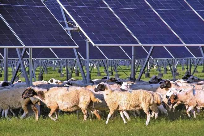 美卫星捕捉中国奇迹花115亿铺光伏板沙漠变“巨型光伏电站”(图5)