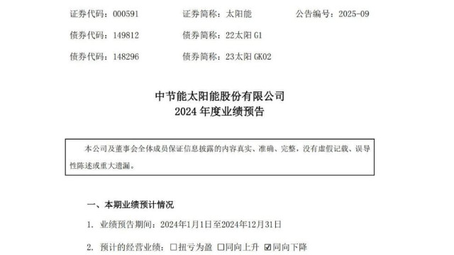 中节能15亿元光伏电站项目开工！(图1)