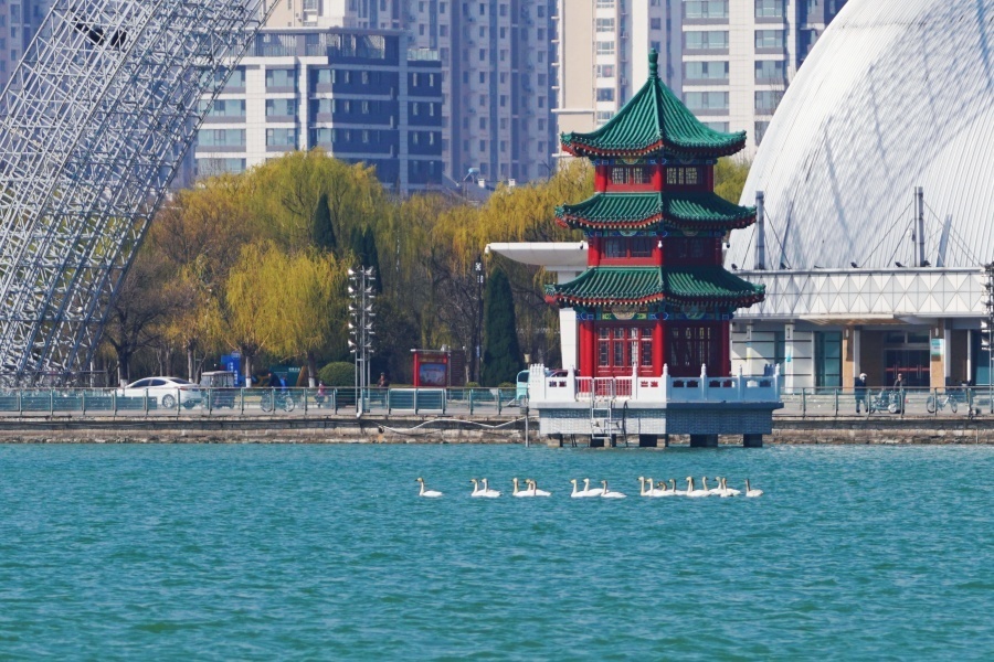 书写“两河明珠”绿色答卷——聊城以生态之美厚积高质量发展之势(图1)