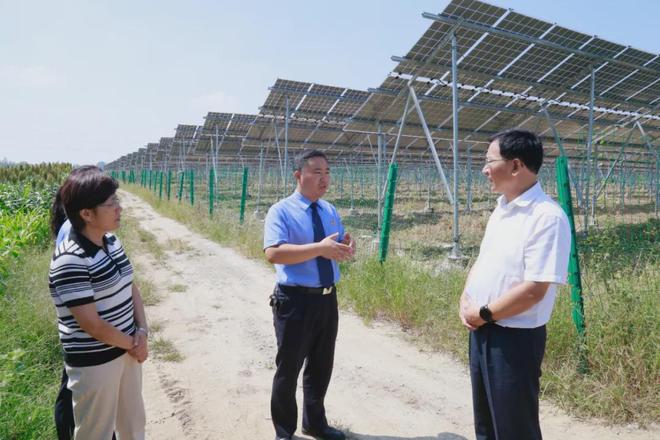 2024年度“中国十大环境司法案例”揭晓安徽检察1例入选！(图4)