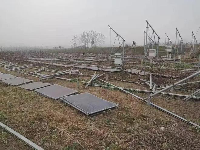 2024年度“中国十大环境司法案例”揭晓安徽检察1例入选！(图3)