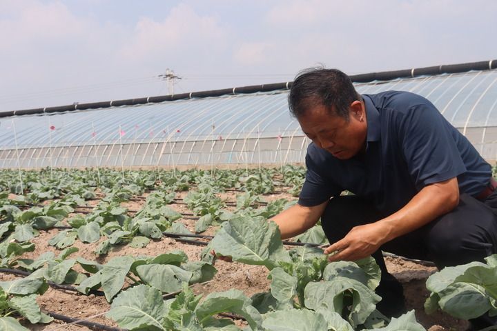 细节里的“和合与共”(图6)