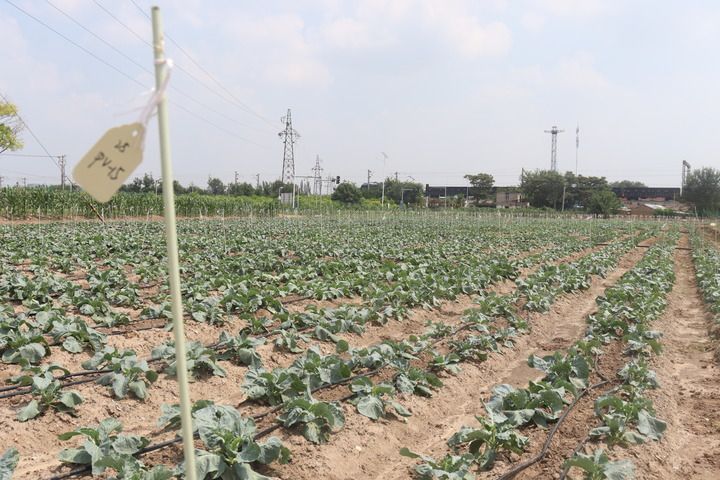 细节里的“和合与共”(图7)