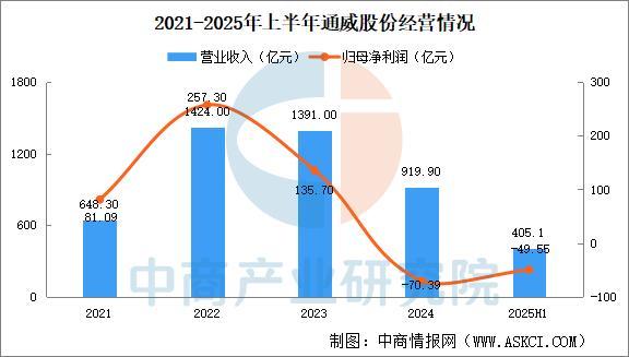 2025年中国光伏电池片行业市场前景预测研究报告(图9)