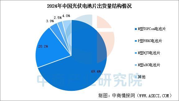 2025年中国光伏电池片行业市场前景预测研究报告(图6)