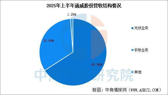 2025年中国光伏电池片行业市场前景预测研究报告(图10)