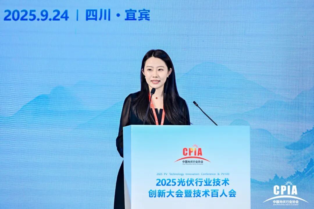 2025光伏行业技术创新大会暨技术百人会在四川宜宾顺利召开(图8)