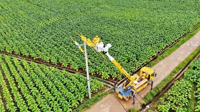 锻造电网强引擎赋能春城新跨越(图2)