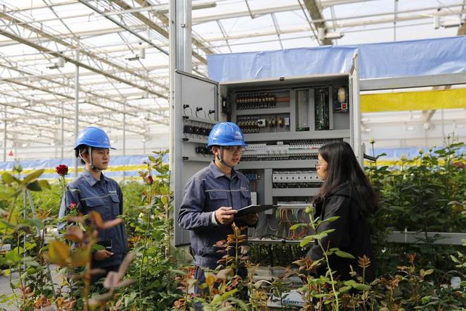 锻造电网强引擎赋能春城新跨越(图4)