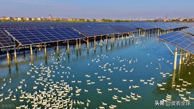 1675天零事故！丰城100兆瓦光伏电站把废地变成“吸金宝地”(图13)