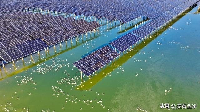 1675天零事故！丰城100兆瓦光伏电站把废地变成“吸金宝地”(图9)