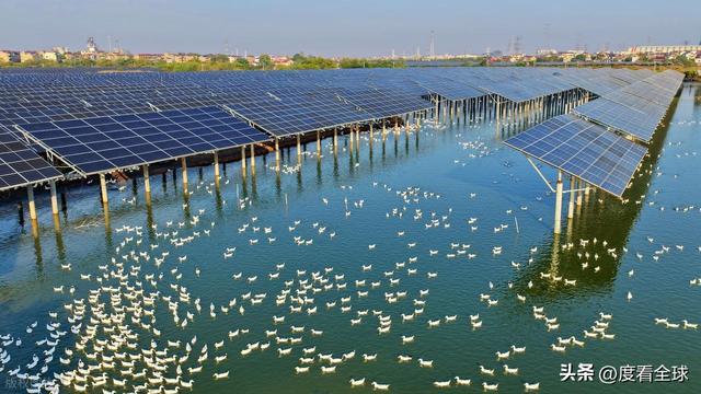 1675天零事故！丰城100兆瓦光伏电站把废地变成“吸金宝地”(图11)