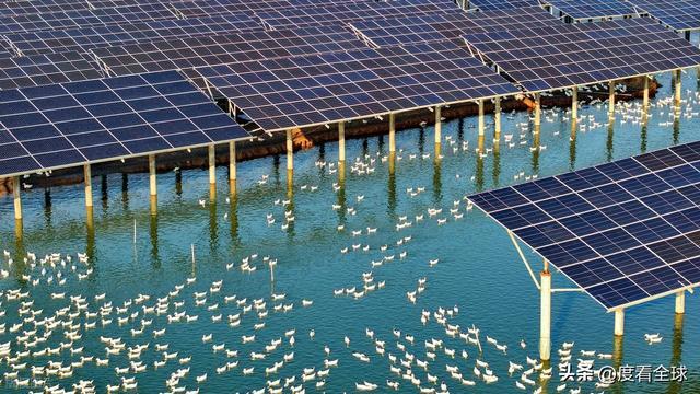 1675天零事故！丰城100兆瓦光伏电站把废地变成“吸金宝地”(图10)