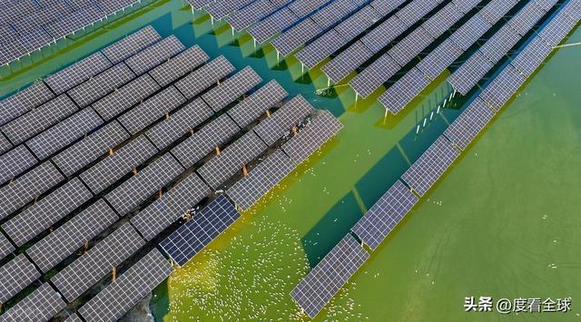 1675天零事故！丰城100兆瓦光伏电站把废地变成“吸金宝地”(图18)