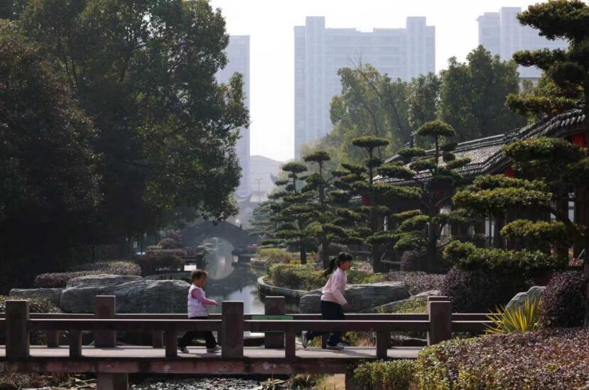 新春走基层“好看的村庄能赚钱”！生态滕头不止于绿色(图1)